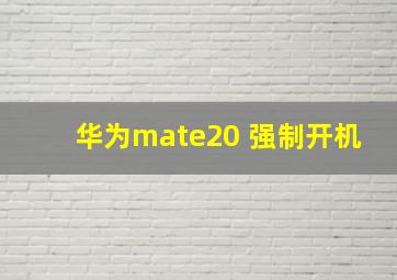 华为mate20 强制开机